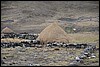 trekking van Olleros naar Sacarcancha, Peru , zaterdag 20 september 2014