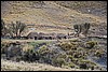 Trekking van  Shongopampa naar Chavin, Peru , zondag 21 september 2014