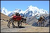 Trekking Huayhuash, Peru , zaterdag 20 september 2014