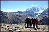 Trekking Huayhuash, Peru , zaterdag 20 september 2014