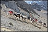 Trekking Huayhuash, Peru , zaterdag 20 september 2014