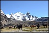 Trekking Huayhuash, Peru , zaterdag 20 september 2014