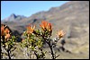 Trekking Huayhuash, Peru , zaterdag 20 september 2014