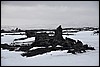 Onderweg per supertruck naar Landmannalaugar, IJsland , maandag 13 februari 2012