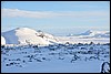 Wintertocht, IJsland , vrijdag 17 februari 2012