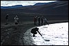 trekking van Hekla naar Slettafell, IJsland , woensdag 23 juli 2008