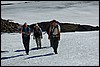 beklimming Torfajökull, IJsland , woensdag 30 juli 2008