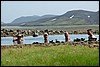 hotspring bij Strutslaug, IJsland , woensdag 30 juli 2008