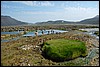 hotspring bij Strutslaug, IJsland , woensdag 30 juli 2008