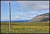 Hornstrandir, IJsland , zaterdag 12 augustus 2017