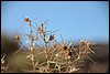 Jebel Saghro, Marokko , dinsdag 24 december 2013