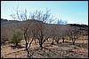 Jebel Saghro, Marokko , dinsdag 24 december 2013