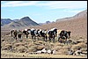 Jebel Saghro, Marokko , woensdag 25 december 2013