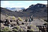 Jebel Saghro, Marokko , woensdag 25 december 2013