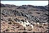 Jebel Saghro, Marokko , zaterdag 28 december 2013