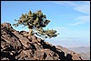 Jebel Saghro, Marokko , zaterdag 28 december 2013