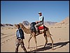 kameel rit in Wadi Rum - Jordanië , woensdag 2 januari 2008