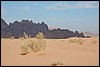 Wadi Rum - Jordanië , donderdag 3 januari 2008