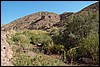 Wadi Araba, Dana - Jordanië , dinsdag 25 december 2007