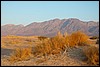 Wadi Araba - Jordanië , woensdag 26 december 2007