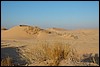 zandduienen Wadi Araba - JordaniÃ« , donderdag 27 december 2007