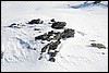 Jotunheimen, Noorwegen , zondag 24 februari 2013