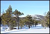 Jotunheimen, Noorwegen , maandag 25 februari 2013