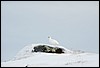 Jotunheimen, Noorwegen , dinsdag 26 februari 2013