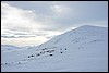 Jotunheimen, Noorwegen , dinsdag 26 februari 2013