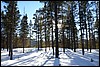 Jotunheimen, Noorwegen , woensdag 27 februari 2013