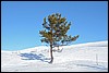 Jotunheimen, Noorwegen , donderdag 28 februari 2013