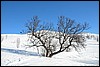 Jotunheimen, Noorwegen , donderdag 28 februari 2013