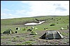 kamp Ksoedatsj krater, Kamtsjatka , maandag 22 juli 2013