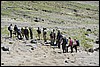 Beklimming van Priejemysi vulkaan, Kamtsjatka , zondag 28 juli 2013