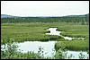 toendra onderweg naar Monchegorsk, Rusland , zondag 2 augustus 2009