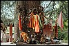 nabij Hadimba temple, Manali, India , maandag 18 juli 2005