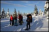 Van Kiilopää naar Suomunruoktu, Finland , zaterdag 28 februari 2015