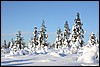 Van Kiilopää naar Suomunruoktu, Finland , zaterdag 28 februari 2015