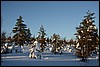 Van Kiilopää naar Suomunruoktu, Finland , zaterdag 28 februari 2015