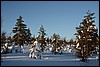 Van Kiilopää naar Suomunruoktu, Finland , zaterdag 28 februari 2015