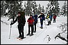 Van Tuiskukuru naar Luirojärvi hut, Finland , zaterdag 28 februari 2015