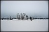 Van Luirojärvi naar  Tuiskukuru hut, Finland , zaterdag 28 februari 2015