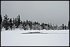 Van Luirojärvi naar  Tuiskukuru hut, Finland , zaterdag 28 februari 2015