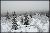 Van Luirojärvi naar  Tuiskukuru hut, Finland , zaterdag 28 februari 2015