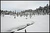 Wandeling nabij Tuiskukuru hut, Finland , zaterdag 28 februari 2015