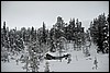 Wandeling nabij Tuiskukuru hut, Finland , zaterdag 28 februari 2015