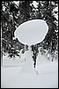 Wandeling nabij Tuiskukuru hut, Finland , zaterdag 28 februari 2015