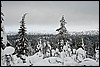 Wandeling nabij Tuiskukuru hut, Finland , zaterdag 28 februari 2015