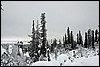 Wandeling nabij Tuiskukuru hut, Finland , zaterdag 28 februari 2015