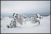 Van Tuiskukuru naar Suomunruoktu hut, Finland , zaterdag 28 februari 2015